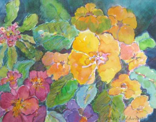 For the Love of Primroses