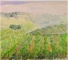 Hilly Vineyards
